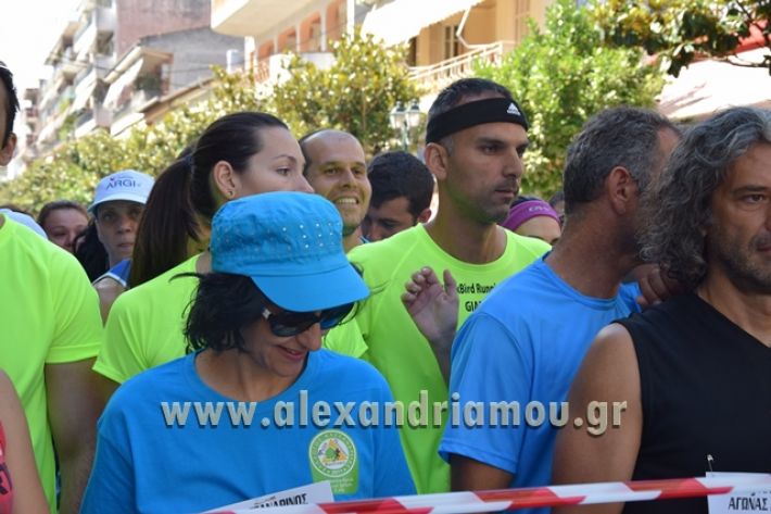 alexandriamou_1_alexandrinos_dromos078